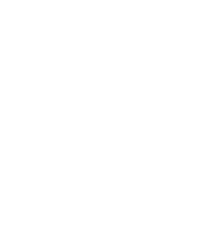 manchmal zeichne ich 
wie ein Boxer boxt 
wie ein Blinder geht
ich zeichne nach Gehör
nach dem Geräusch 
meines Bleistifts
auf dem Papier
oder ich zeichne
nach dem Rhytmus meiner 
oder seiner Bewegungen
und dann wieder so
als ob ich keine Hand 
sondern eine Prancke hätte