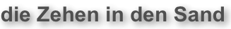 shapeimage_1_link_16