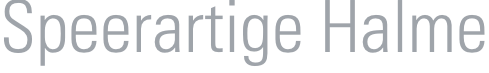 shapeimage_9_link_0